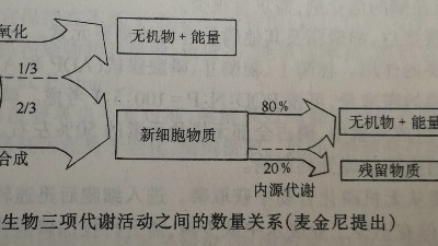 活性污泥代謝活動數量關系